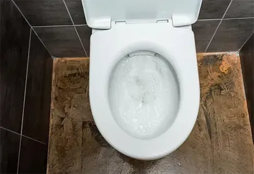 Desentupidora de Vaso Sanitário em Arujá Centro Residencial em Arujá